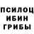 Псилоцибиновые грибы прущие грибы olya kirpileva