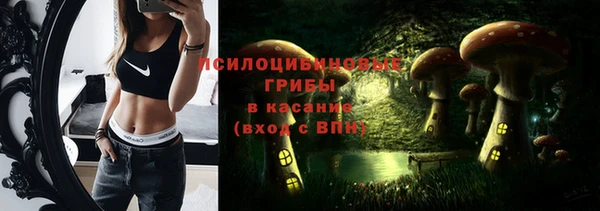 mdpv Бежецк