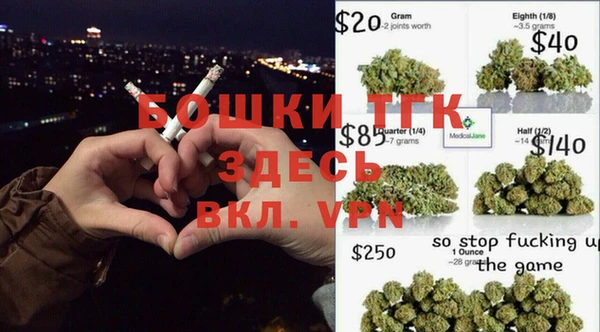 тгк Корсаков