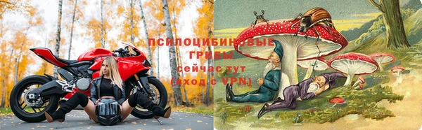 тгк Корсаков