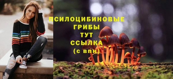 прущая мука Коряжма